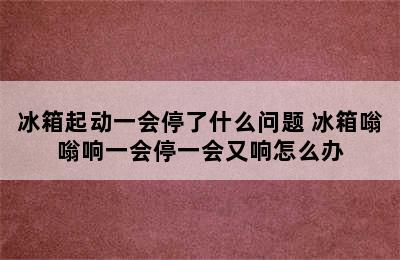 冰箱起动一会停了什么问题 冰箱嗡嗡响一会停一会又响怎么办